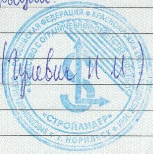 СТРОЙЛИДЕР Логотип(logo)